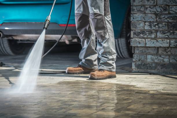 Best Sign and Awning Cleaning  in Sidney, IL