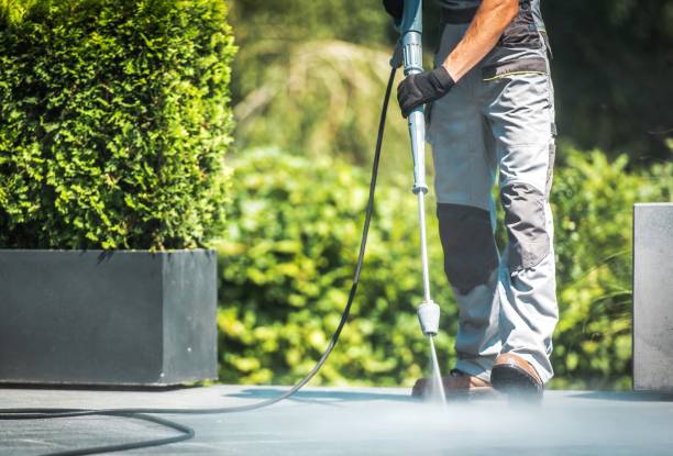 Best Dumpster Area Cleaning  in Sidney, IL