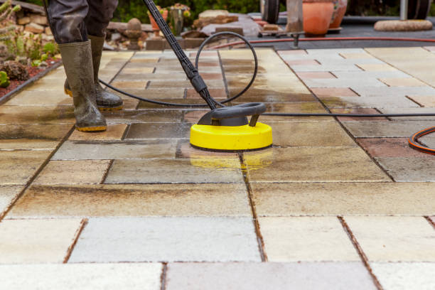 Best Driveway Pressure Washing  in Sidney, IL