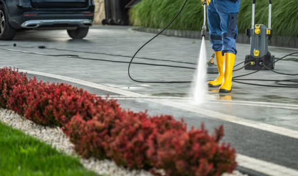 Best Graffiti Removal  in Sidney, IL